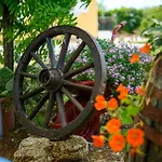 Amazing In * Štokovci