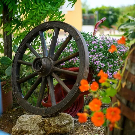Amazing In * Štokovci