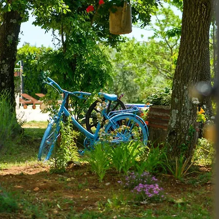 Cozy In With Wifi * Štokovci