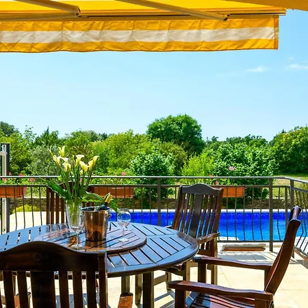 Pet Friendly In